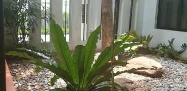 (MP-043) Single House with private pool in Thonglor | 5 Bedrooms | 1 Office Room l Thonglo 20