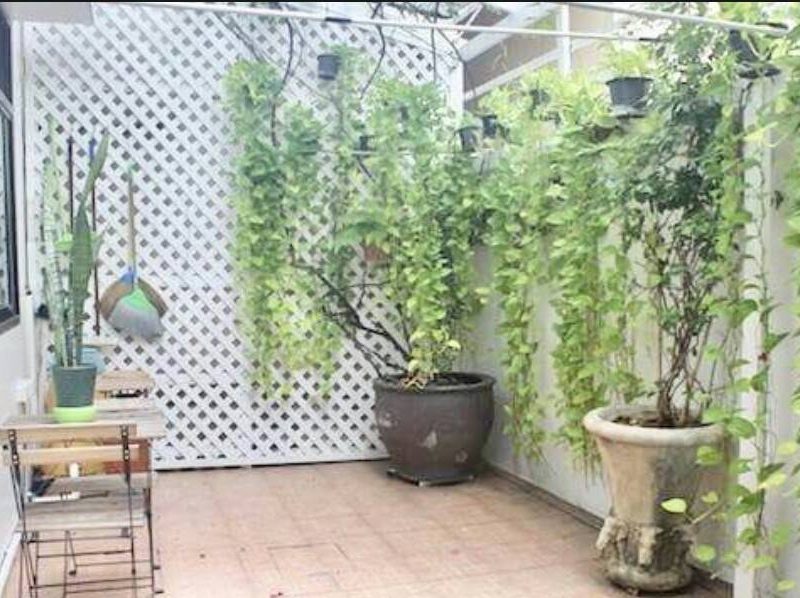 timeline_20180801_135228