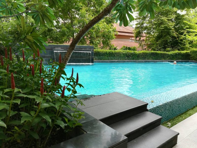 timeline_20180802_134937