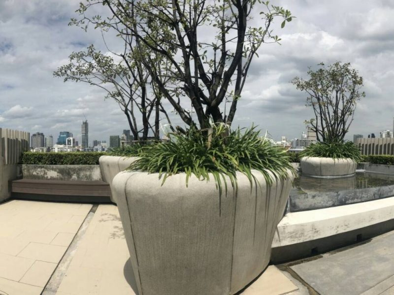 timeline_20180813_175255 timeline_20180813_175255