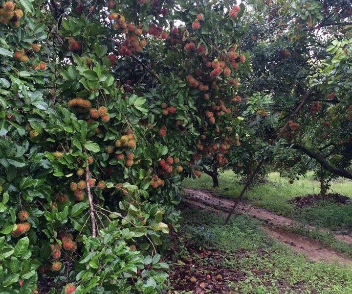 timeline_25610809_125644