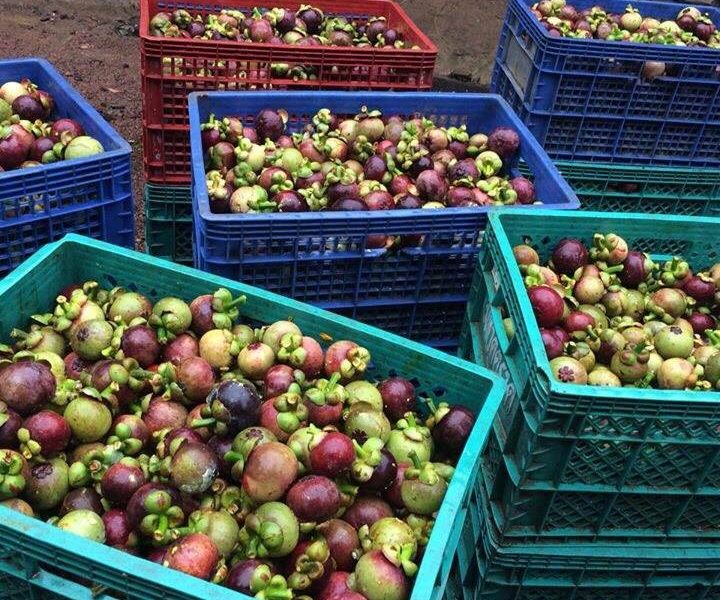 timeline_25610809_125645