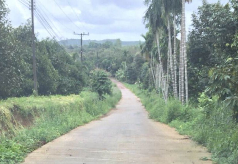 timeline_25610809_125646