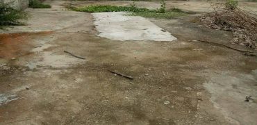 Land 191 sq.w / Sukhumvit 39 / Soi Phromsri 2