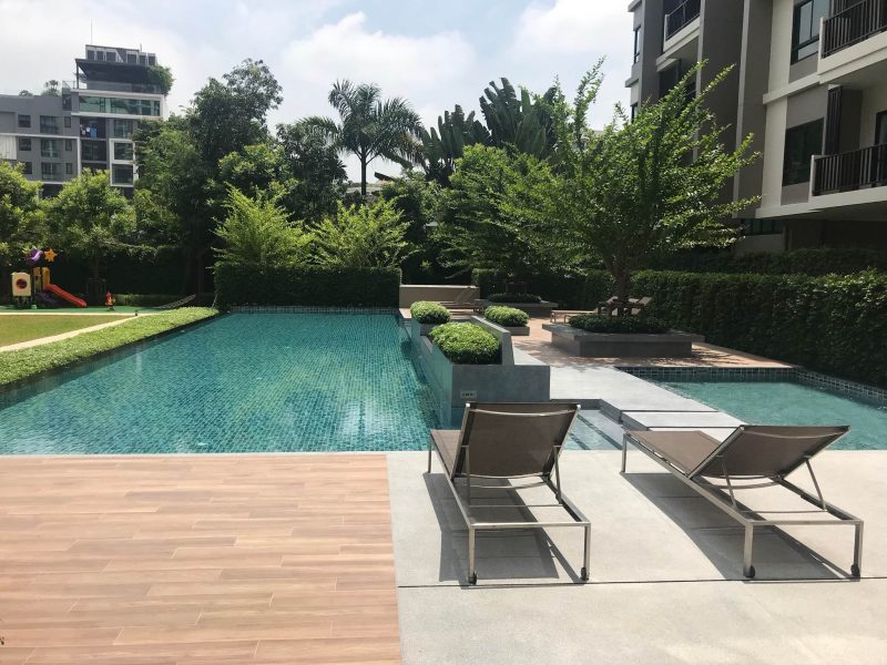 timeline_25610916_131534