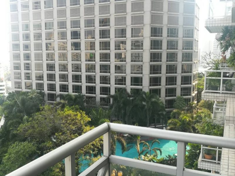 timeline_20190216_133912