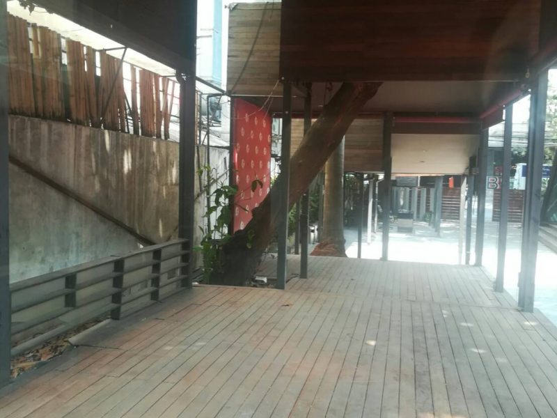 timeline_20190227_132516