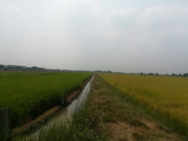 timeline_20190317_140411 timeline_20190317_140411