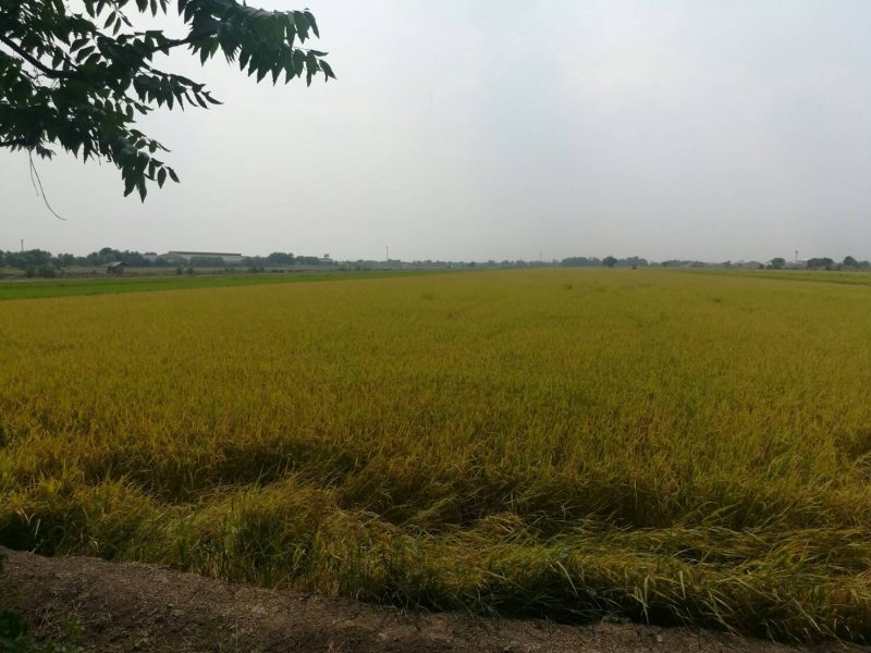 timeline_20190317_140427 timeline_20190317_140427