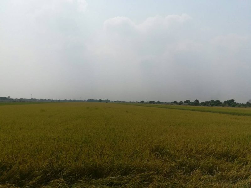 timeline_20190317_140433 timeline_20190317_140433