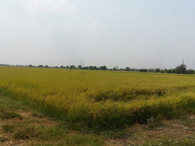 timeline_20190317_140440 timeline_20190317_140440