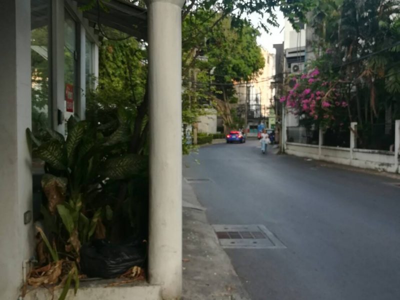 timeline_20190304_210357
