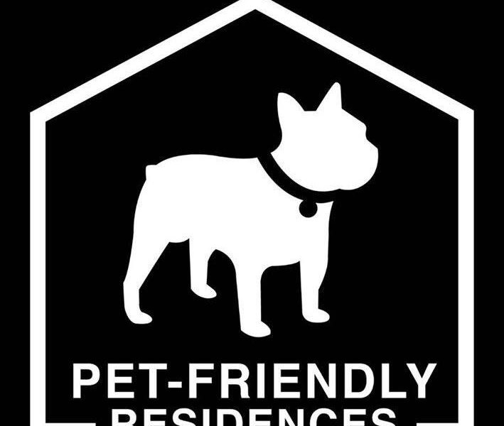 timeline_25620315_114904