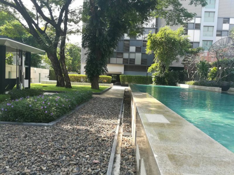 timeline_20190424_152622