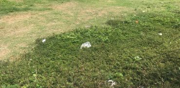 ขายที่ดินย่านทองหล่อ l 266 ตร.ว l Thonglo l 2.1 kk to BTS Thonglo