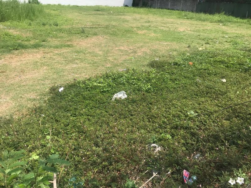 timeline_25620405_132236 timeline_25620405_132236