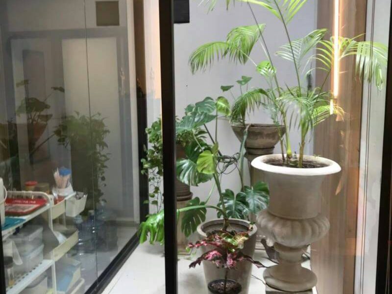 timeline_20190527_065944