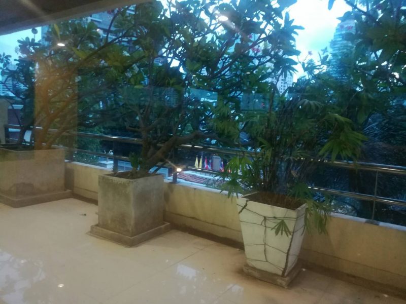 timeline_20190528_184145