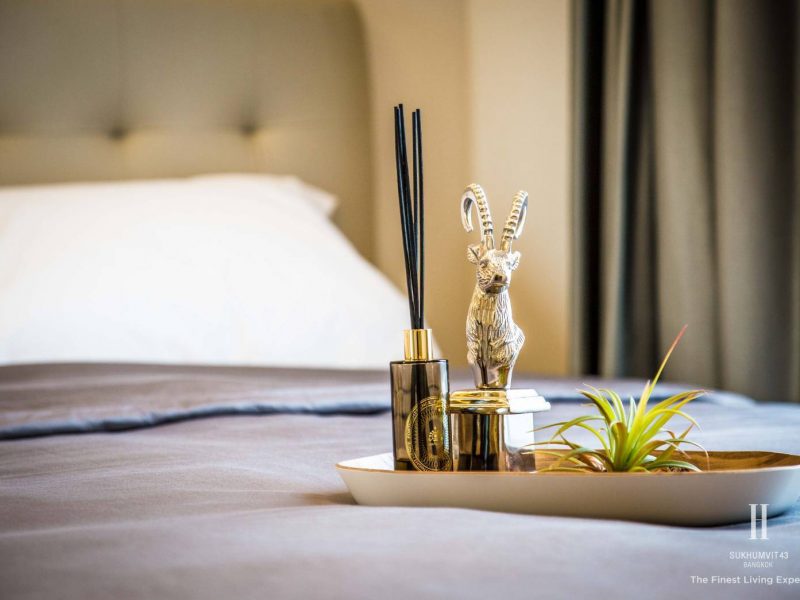 timeline_25620501_093332