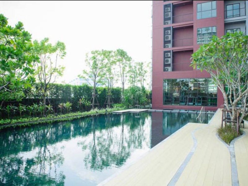 timeline_25620514_144450