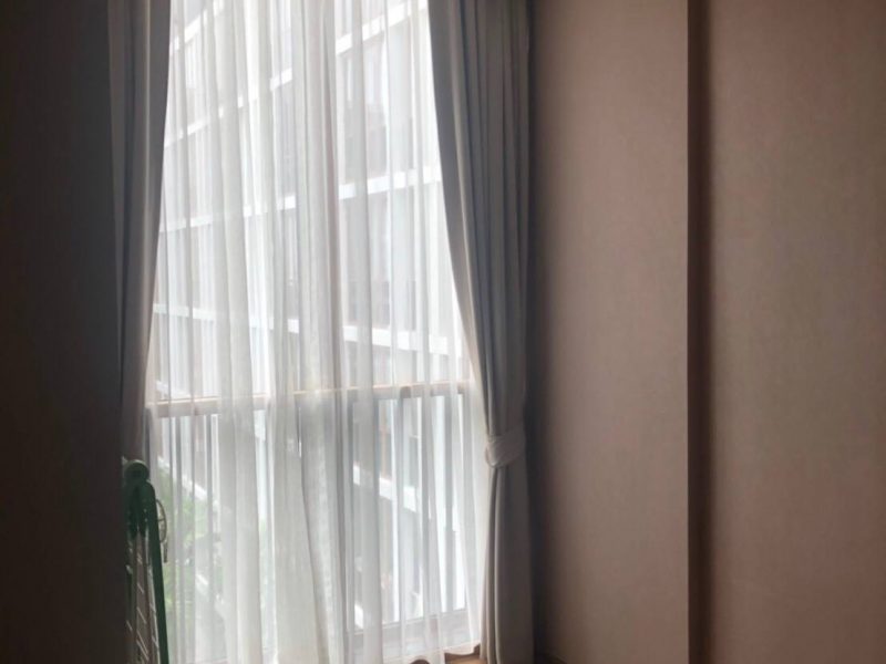 timeline_25620516_172309