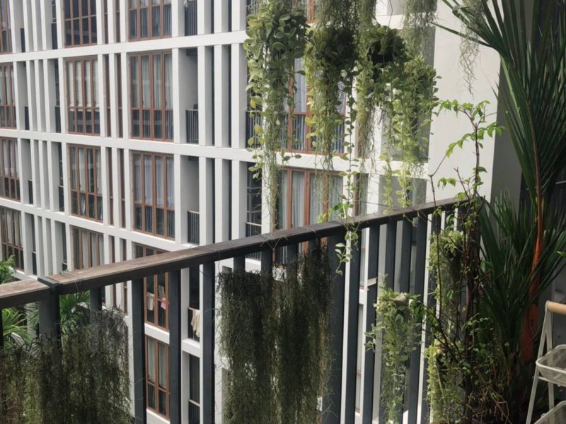 timeline_25620516_172312