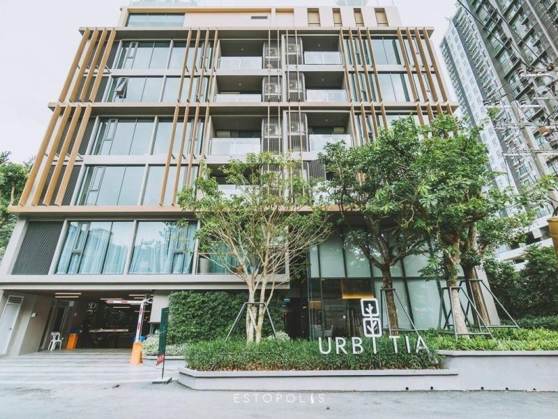 timeline_25620521_103837