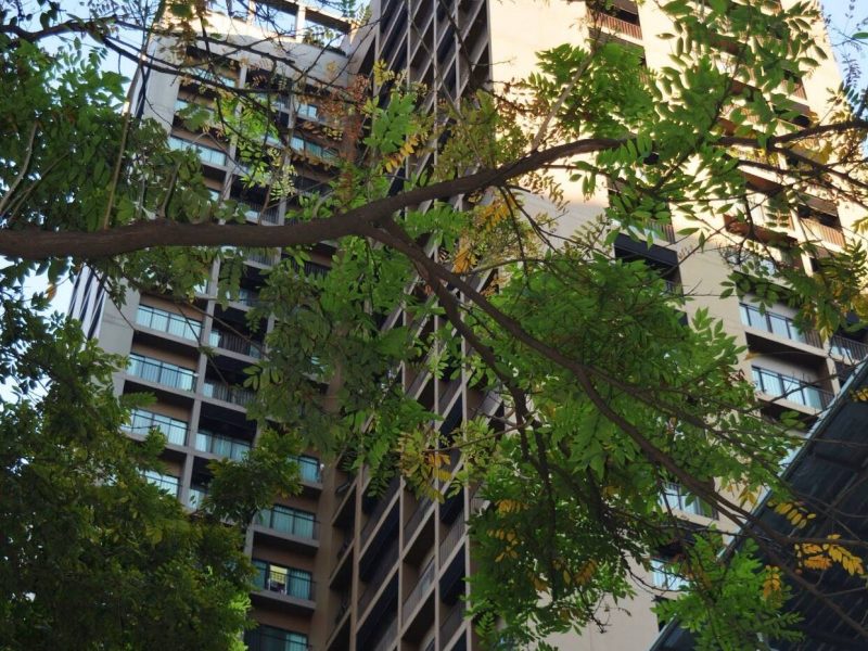 timeline_25620525_113523_0