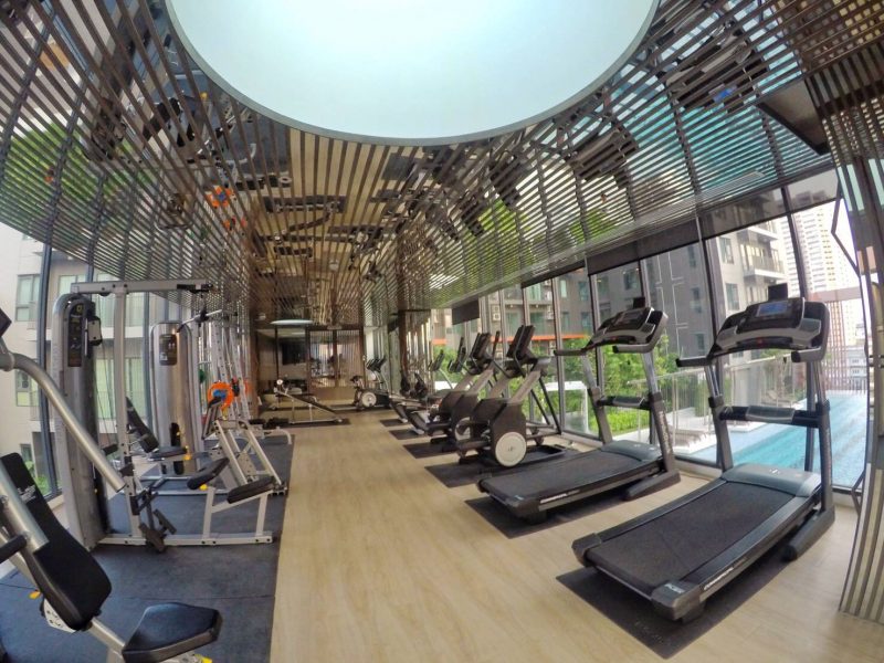 timeline_25620521_123604