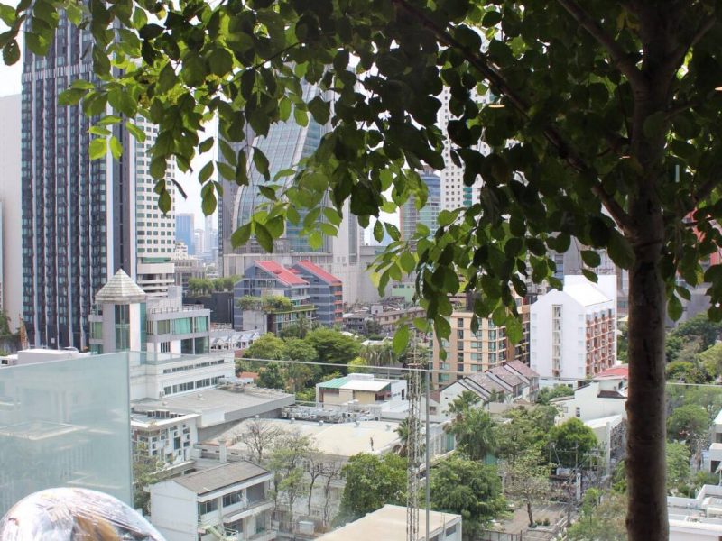 timeline_25620602_131641