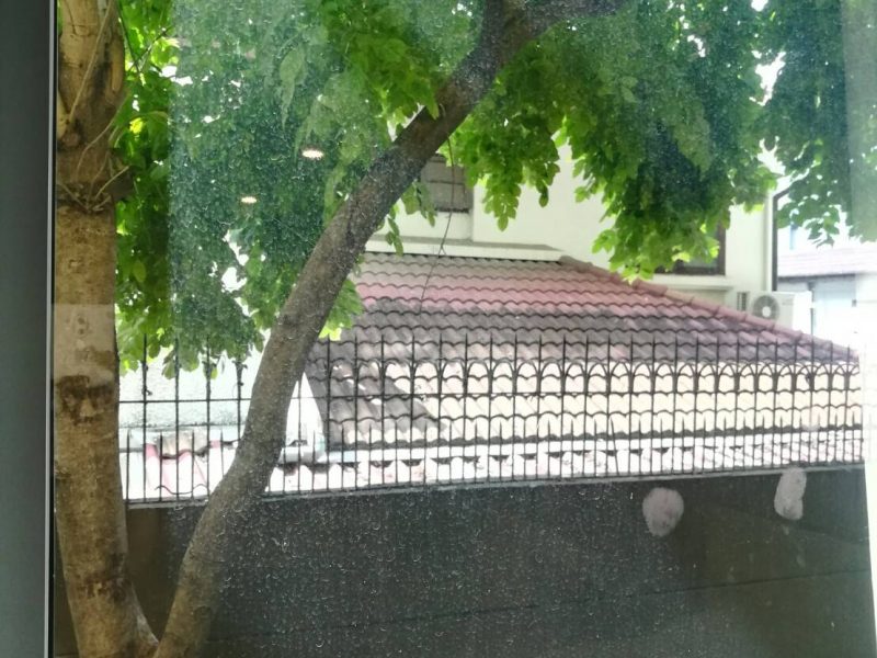 timeline_20190718_152604