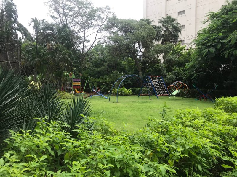 timeline_25620903_135251 timeline_25620903_135251