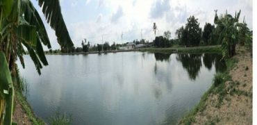 Land for sale l 2 rai – 19 rai l Near Suvarnabhumi Airport l Samut Prakran