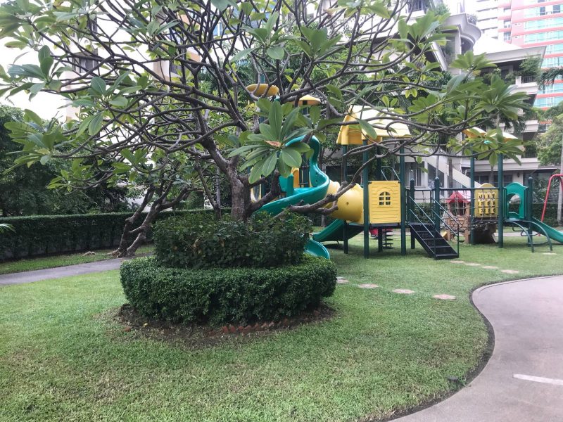 timeline_25621008_155421 timeline_25621008_155421