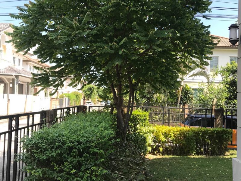 timeline_25621123_181716