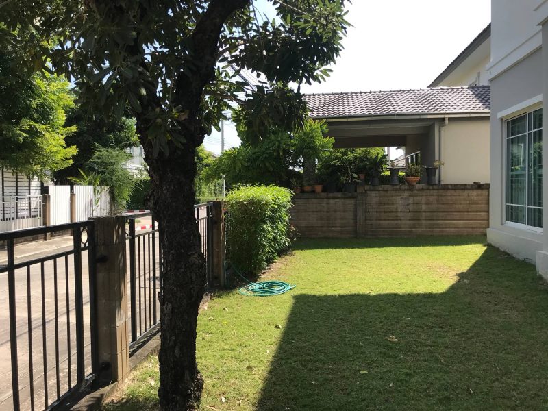 timeline_25621123_181718