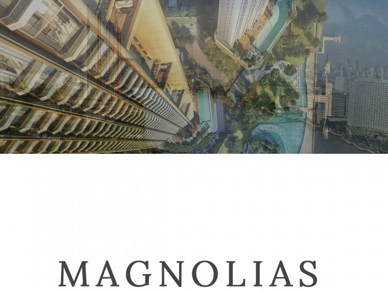 timeline_25630208_175845