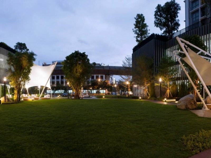 timeline_25630505_163247