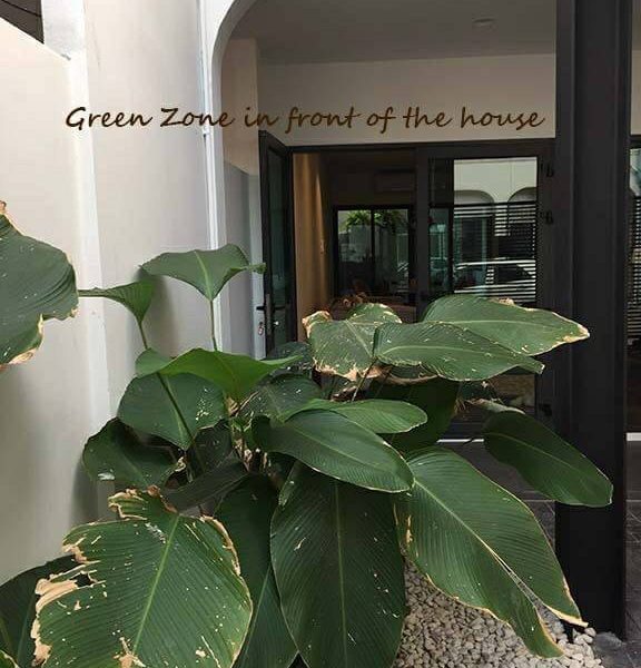 timeline_25630918_123630