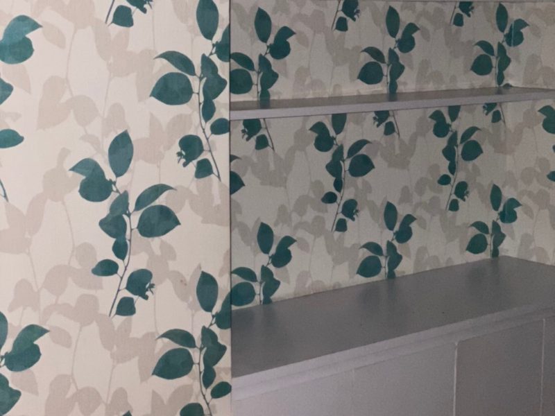 timeline_25631013_101120