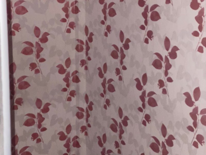 timeline_25631013_101121