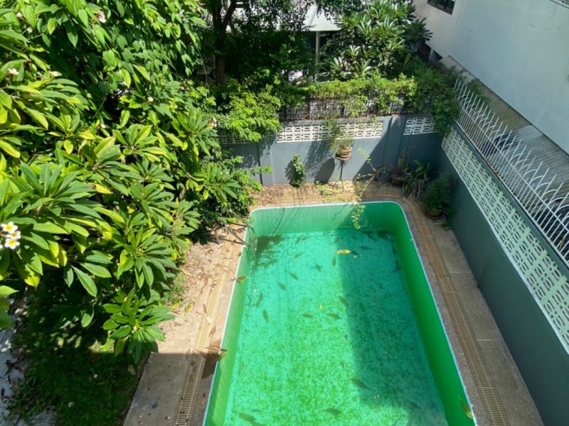 timeline_25631023_0812583