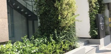 (MP-1093) Retail space for cafe l 21 Sq.m l 1st Floor l 400m.to BTS Thonglo