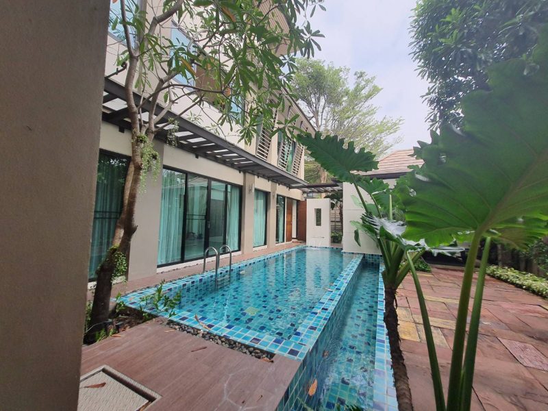 timeline_20210210_104854 timeline_20210210_104854