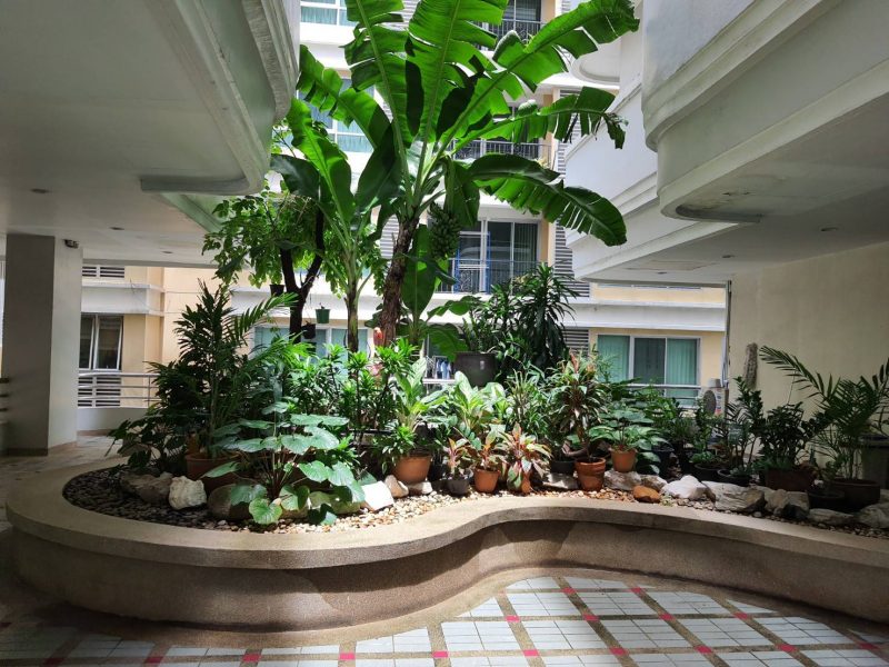 timeline_20210925_085101